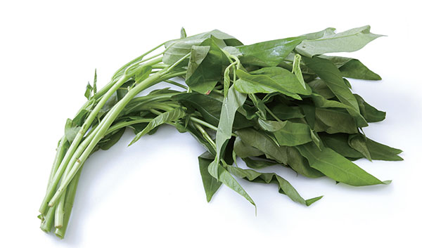 공심채(Water spinach)