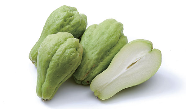 차요테(chayote)