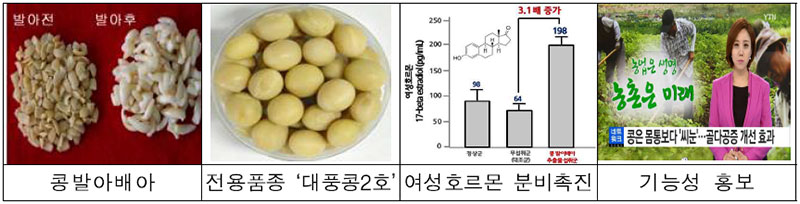 새싹 종류 No3.