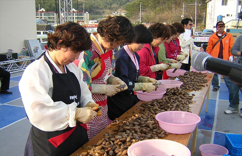 창원진동 미더덕축제 소개 No3.