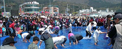 거제도 봄꽃 & 숭어 축제