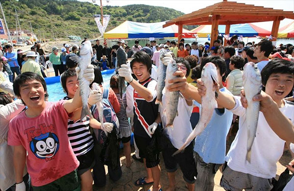 부산숭어축제