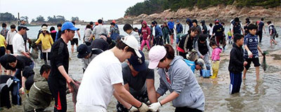 태안 몽산포항 주꾸미 축제