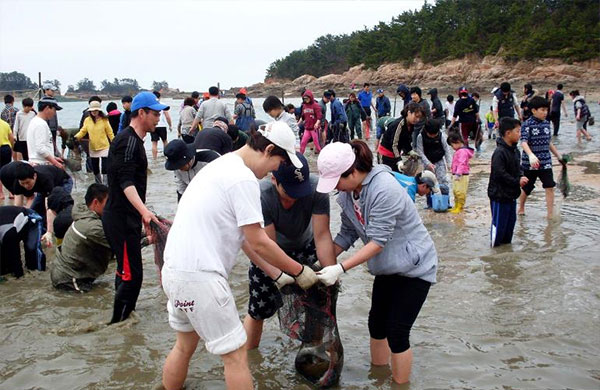 태안 몽산포항 주꾸미 축제