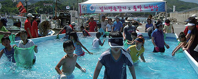 삼척 장호어촌체험마을 여름 페스티벌 「장호항」