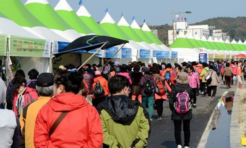 고성 통일고성 명태축제 소개 No4.