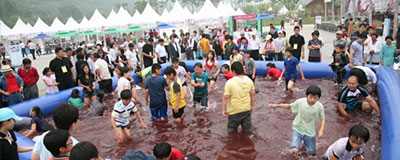 고창 수산물축제