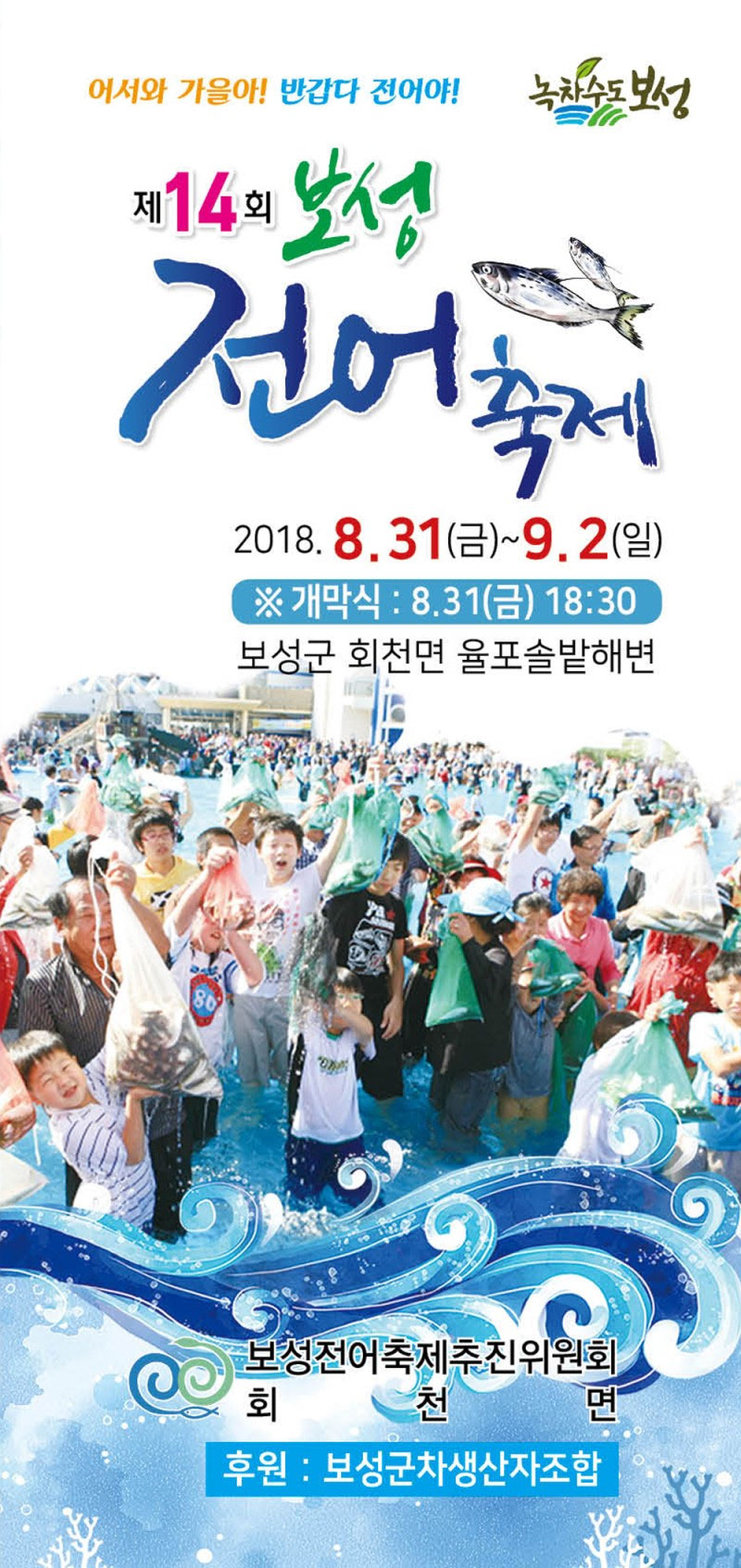 보성 전어축제 소개 No1.