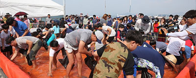 서천 전어.꽃게축제 「홍원항」