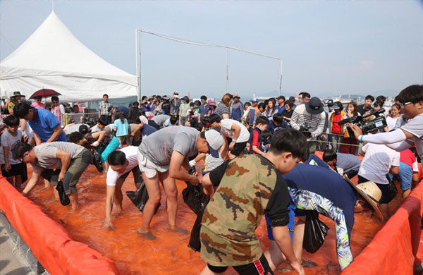 서천 홍원항 전어축제