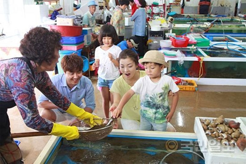 통영 수산물 대 축제 소개 No4.