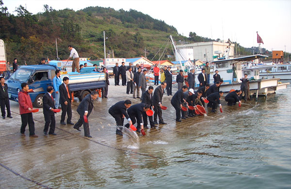 나로도 수산물 축제