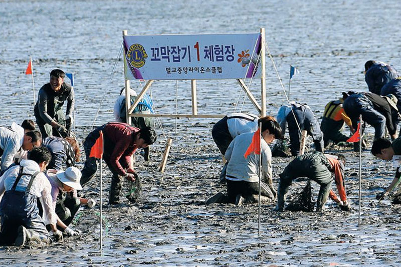 보성벌교 꼬막축제 소개 No4.