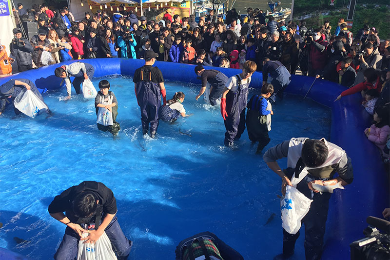 거제 대구 수산물 축제 소개 No3.