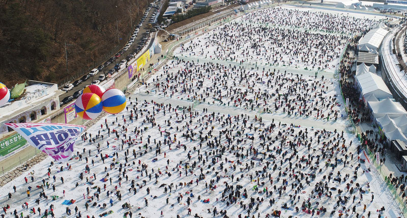 화천 산천어 축제 소개 No2.