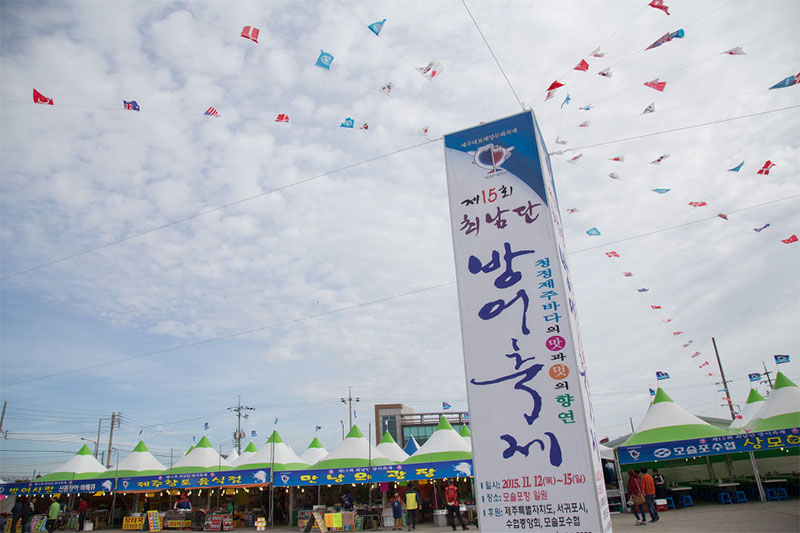 서귀포 최남단 방어축제 소개 No2.