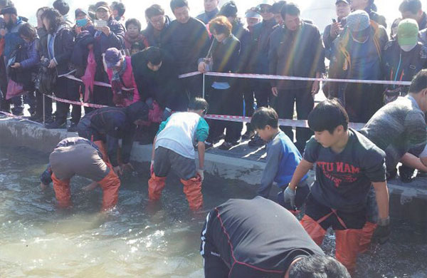 홍성 새조개축제