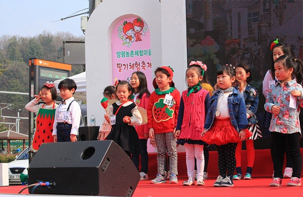 양평 딸기 체험 축제