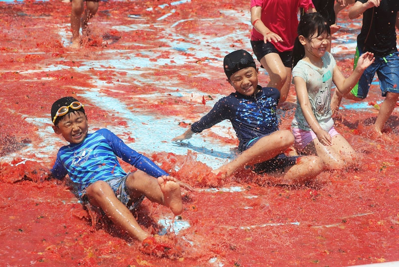 퇴촌 토마토 축제 소개 No4.