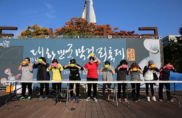 대한민국 막걸리축제