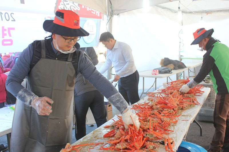 붉은 대게 축제 소개 No2.