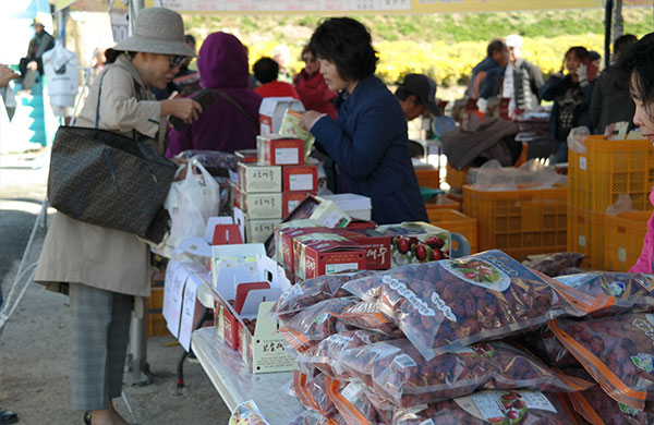 보은 대추축제