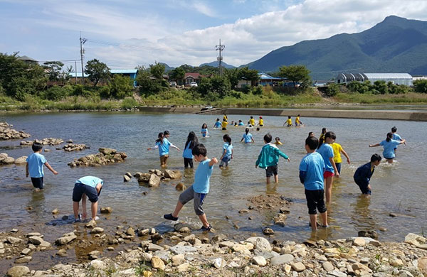 괴산 둔율 올갱이 축제