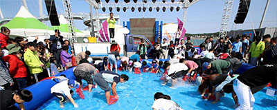 제철 대하의 환상적인 맛 안면도 백사장 대하 축제