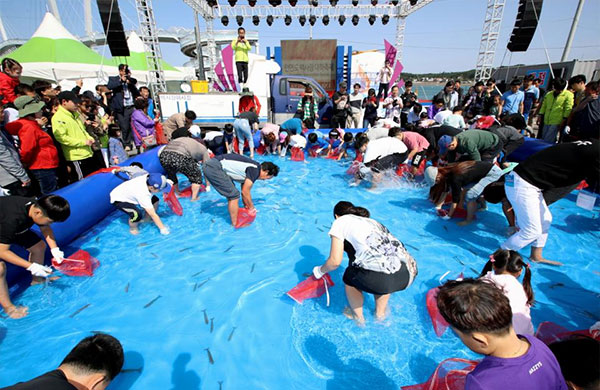 안면도 백사장 대하 축제