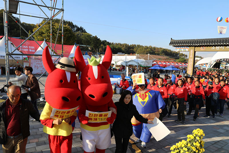 진안홍삼축제 소개 No2.