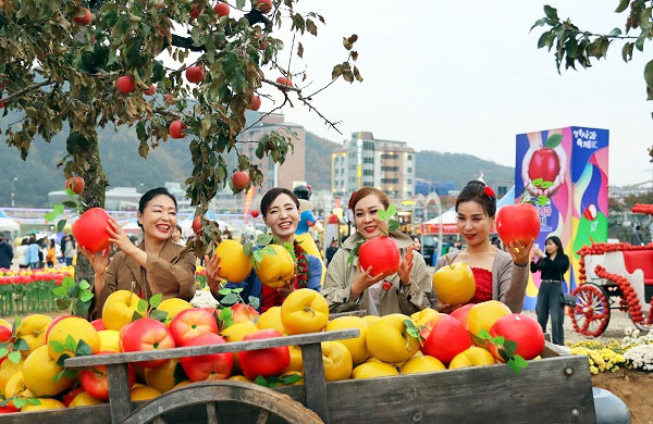 청송 사과축제