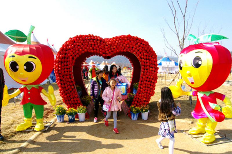 청송 사과축제 소개 No5.