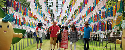 산삼의 모든 것, 함양 산삼 축제