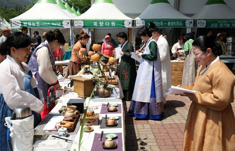 하동 야생 차 문화 축제 소개 No2.