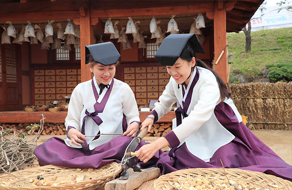 산청 한방 약초 축제