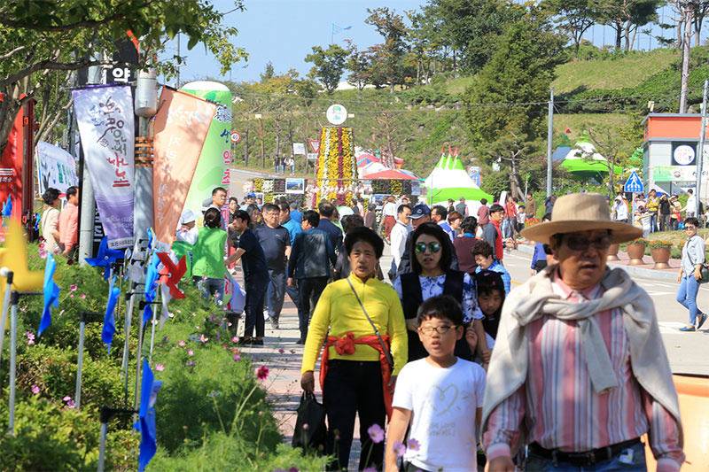 산청 한방 약초 축제 소개 No2.