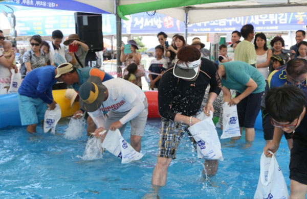 삼천포항 자연산 전어 축제