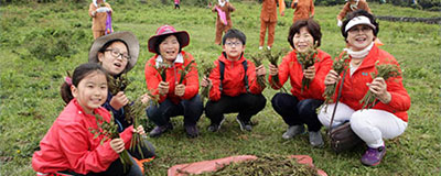 봄기운을 만끽하며 꺾고 맛보는, 한라산 청정 고사리 축제