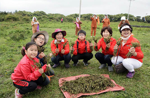 한라산 청정 고사리 축제