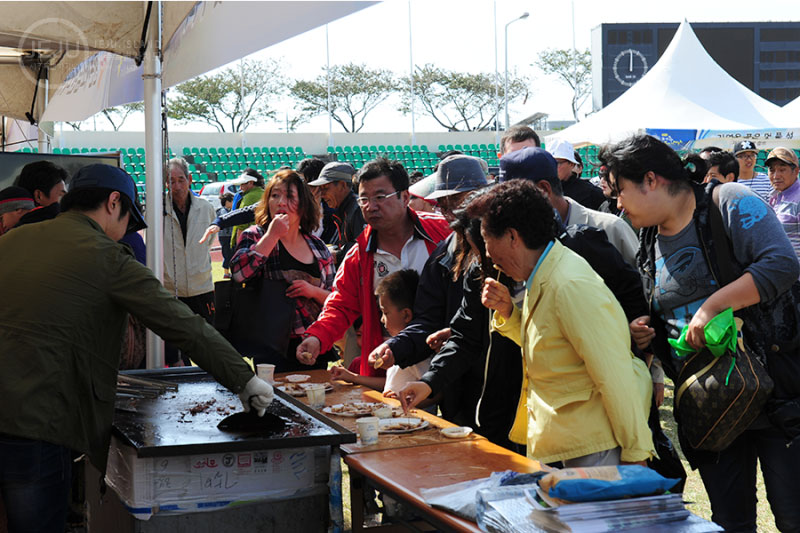 제주 도새기 축제 소개 No2.