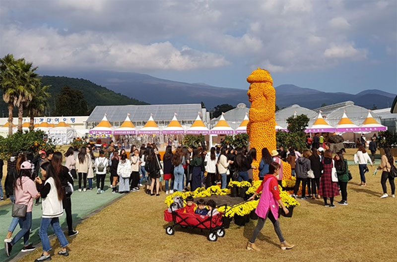 제주 국제 감귤 박람회 소개 No3.