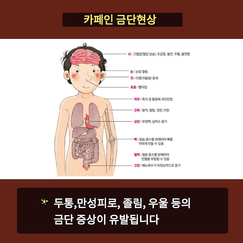 카페인 식품, 무엇이 문제일까요? 사진 7번