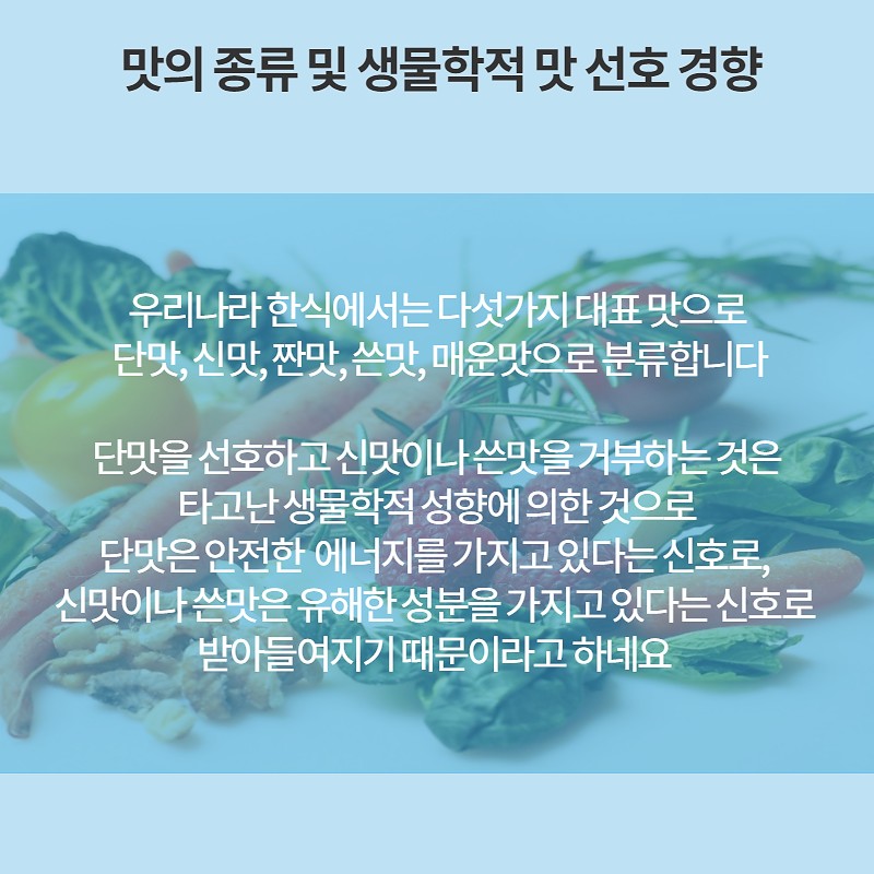 미각 교육이란? 사진 6번