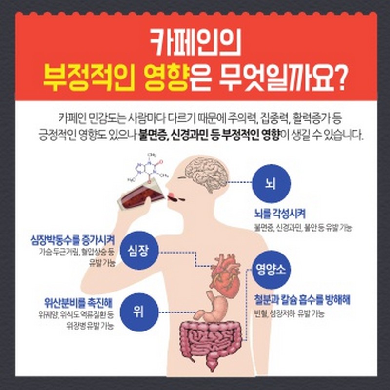 성인 하루 커피 4잔, 청소년 에너지음료 2캔 이내로 섭취하세요 사진 2번