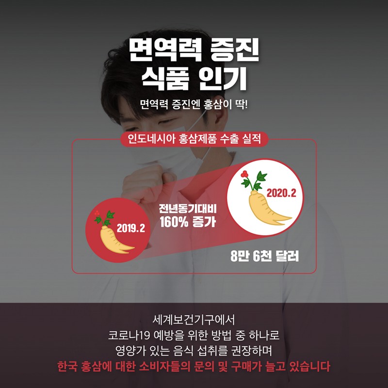 인도네시아 건강은 홍삼으로 해결 사진 3번