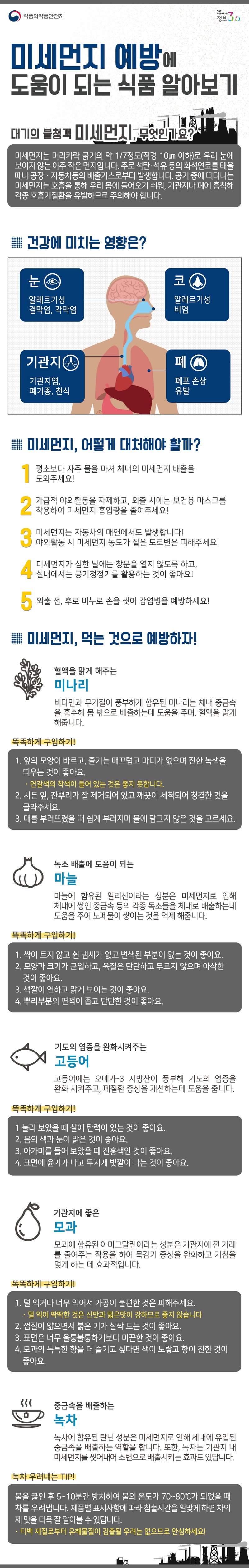 미세먼지 예방에 도움이 되는 식품 알아보기 사진 1번