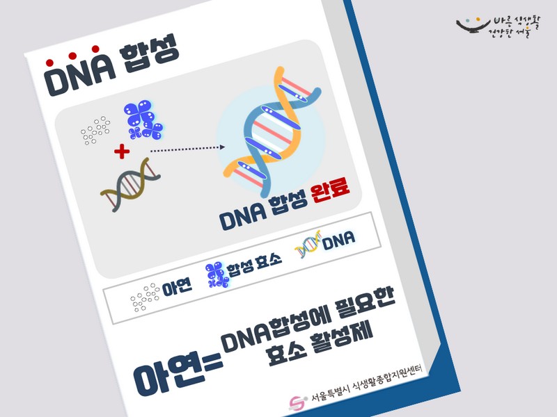 [영양쏙쏙] 면역력 으뜸, 성장쑥쑥! 어린이 건강지킴이_‘아연’편 사진 2번