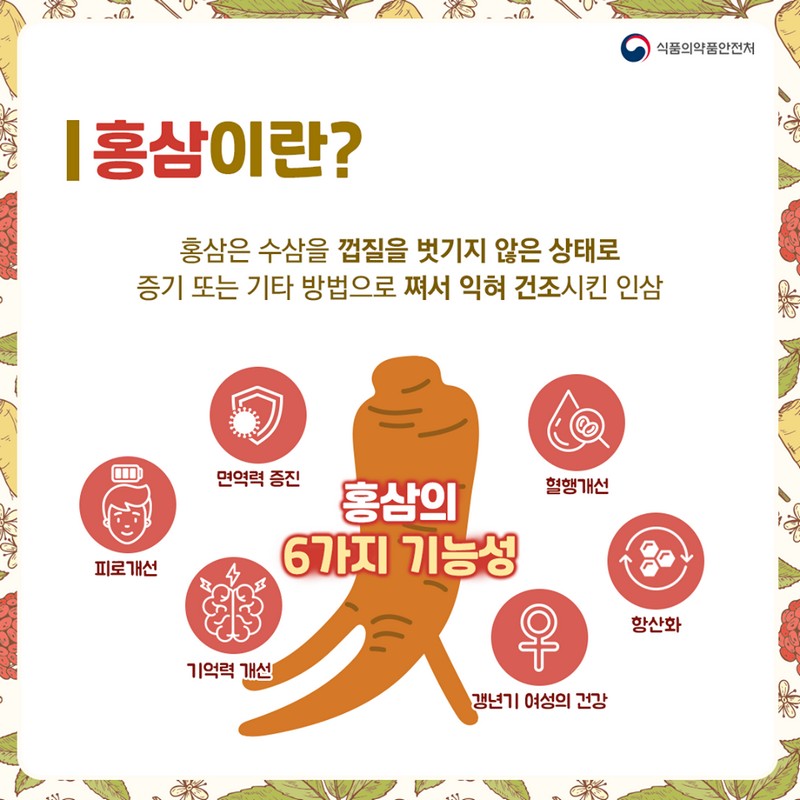 홍삼의 모든 것 사진 2번