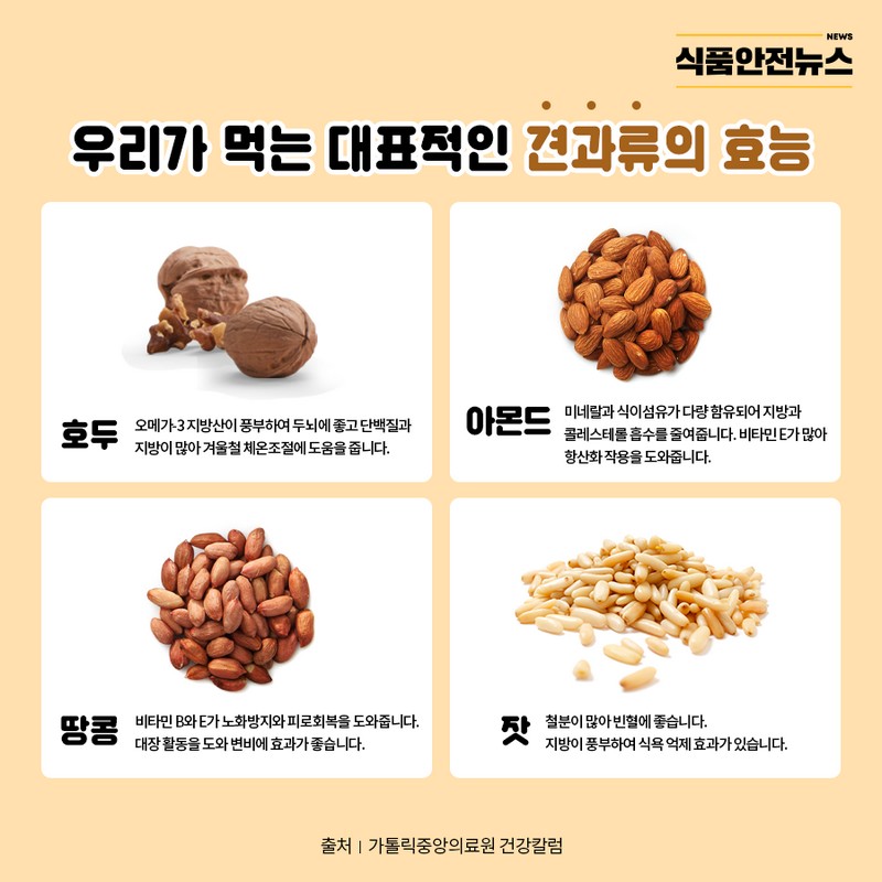 견과류, 정말 다이어트 식품일까? 사진 5번