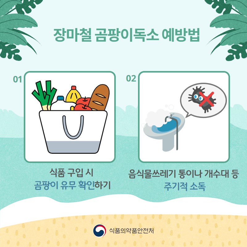 장마철 곰팡이독소 예방법 사진 2번